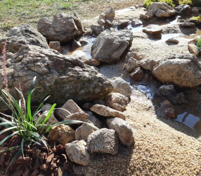 MES REALISATIONS DE MINI JARDIN JAPONAIS